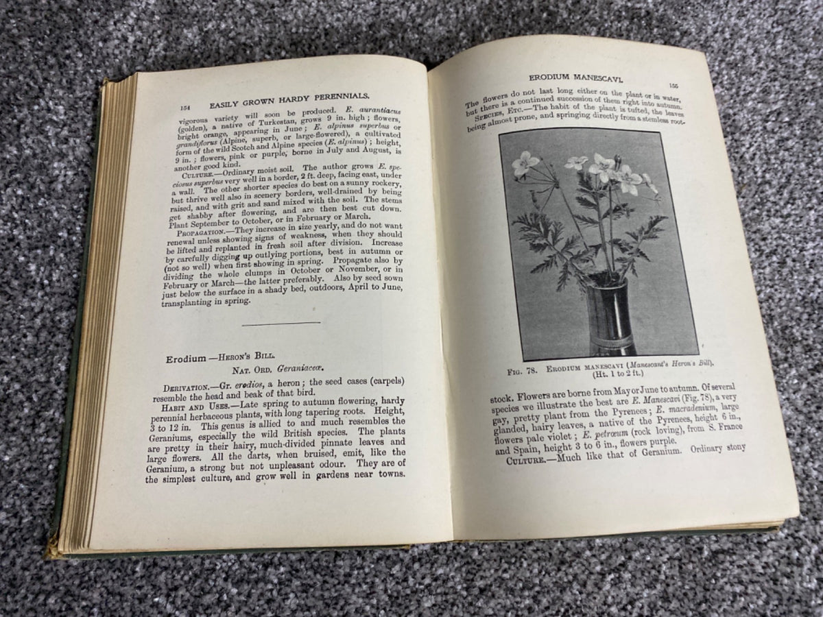 Easily Grown Hardy Perennials - George H. Vos