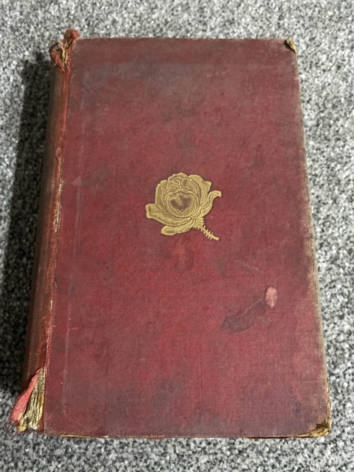 Beeton's New Dictionary of Every-Day Gardening