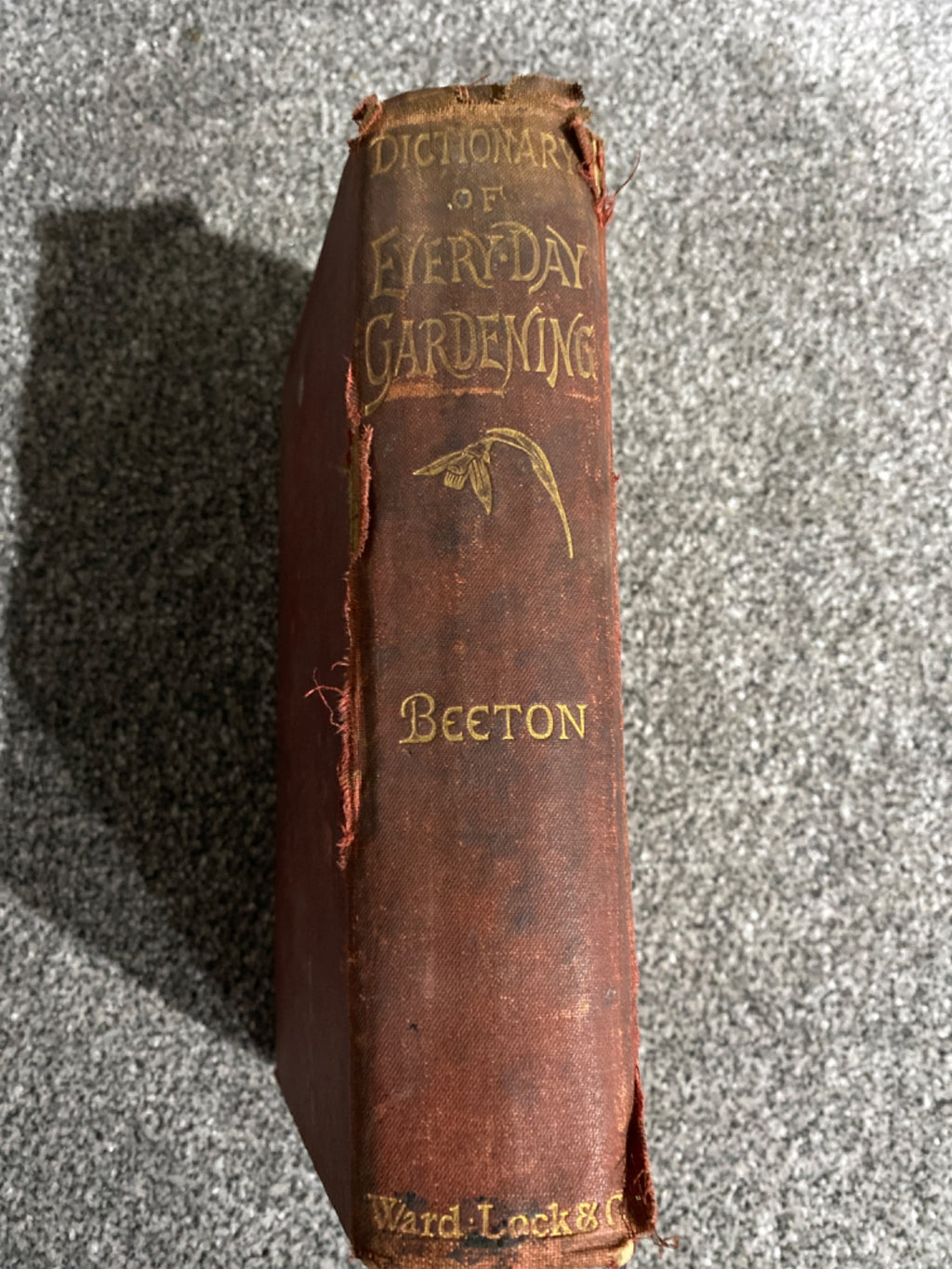 Beeton's New Dictionary of Every-Day Gardening