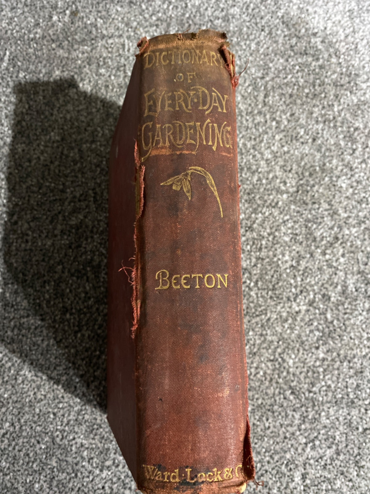 Beeton's New Dictionary of Every-Day Gardening