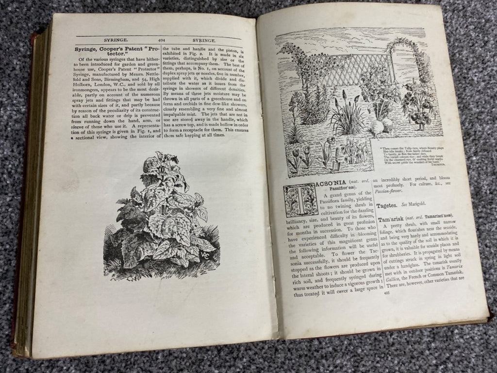 Beeton's New Dictionary of Every-Day Gardening