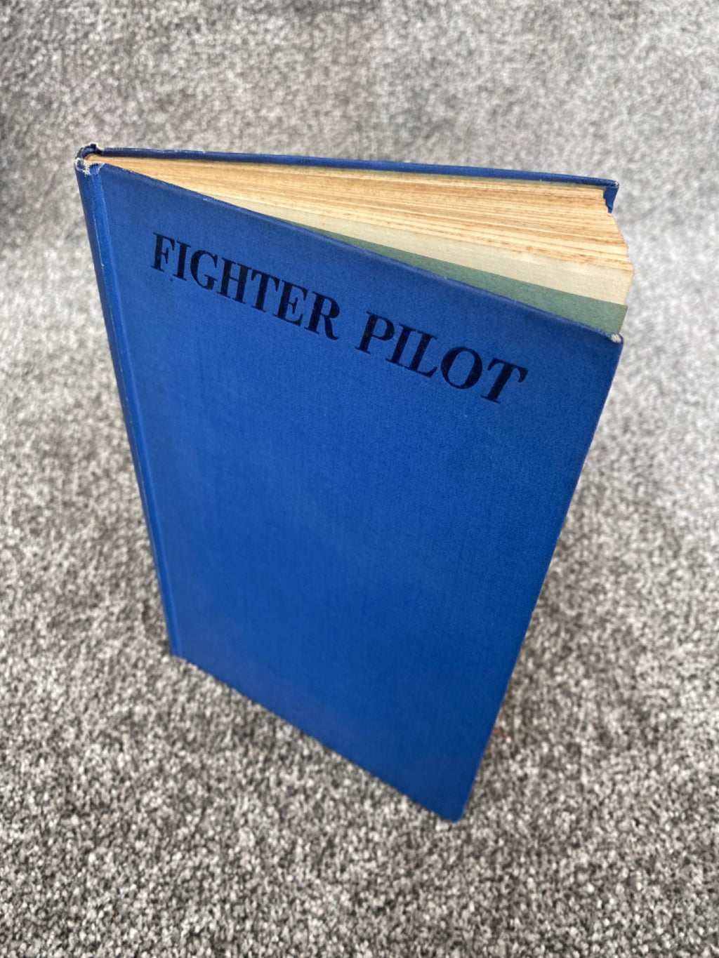 Fighter Pilot