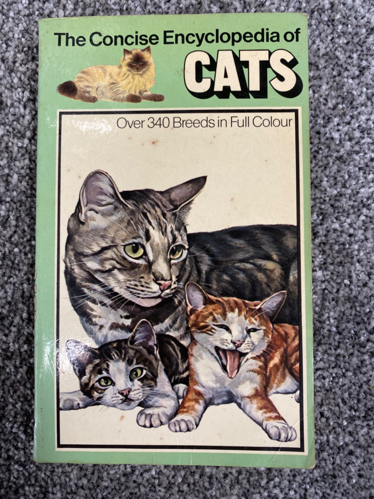 Concise Encyclopaedia of Cats