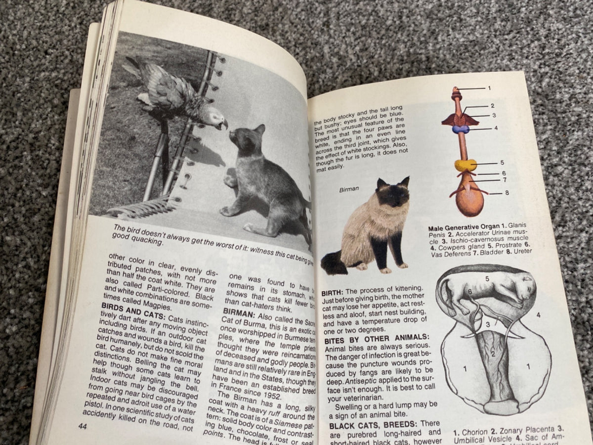 Concise Encyclopaedia of Cats