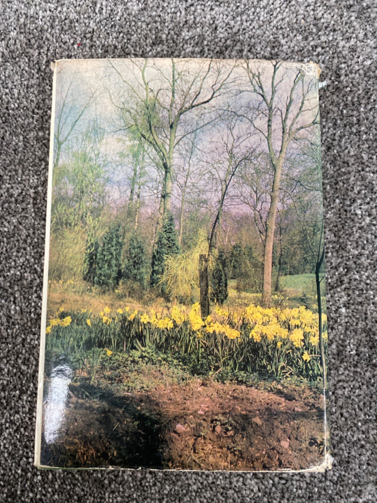 Springtime in Britain: A Journey Through the Land - Edwin Way Teale