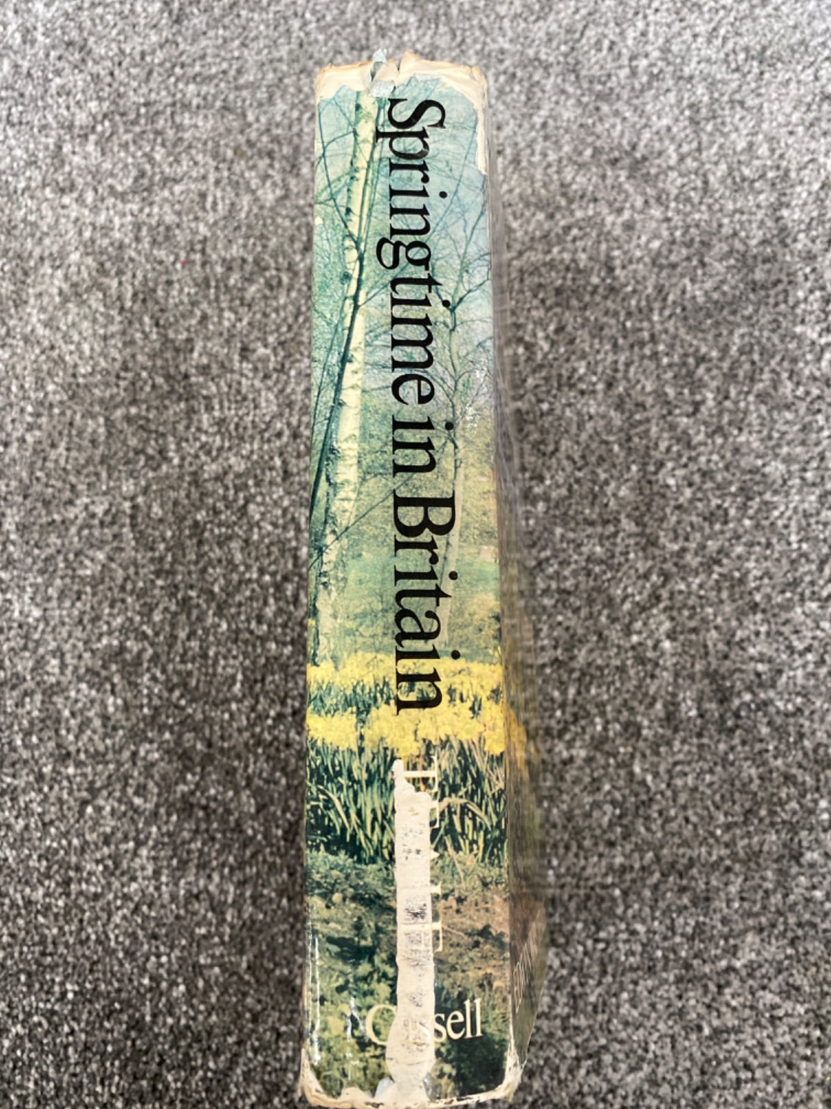 Springtime in Britain: A Journey Through the Land - Edwin Way Teale
