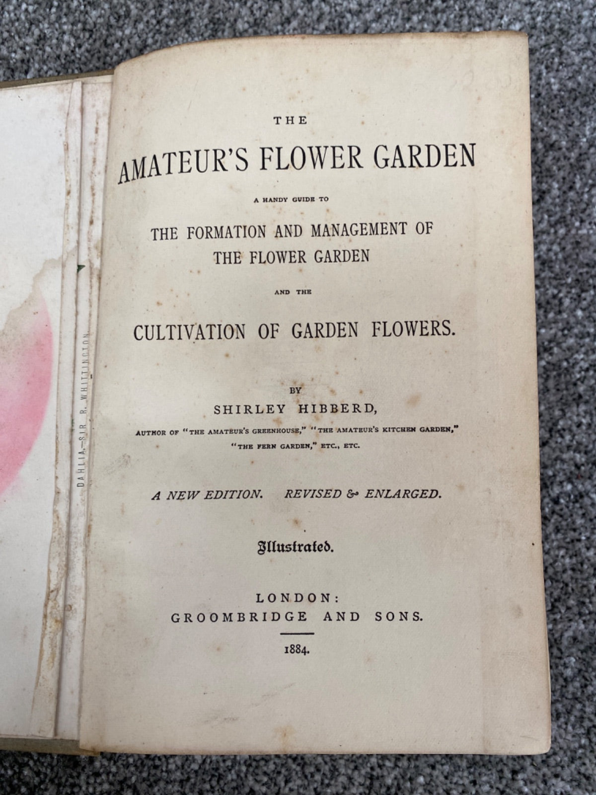 The Amateur's Flower Garden - Shirley Hibberd