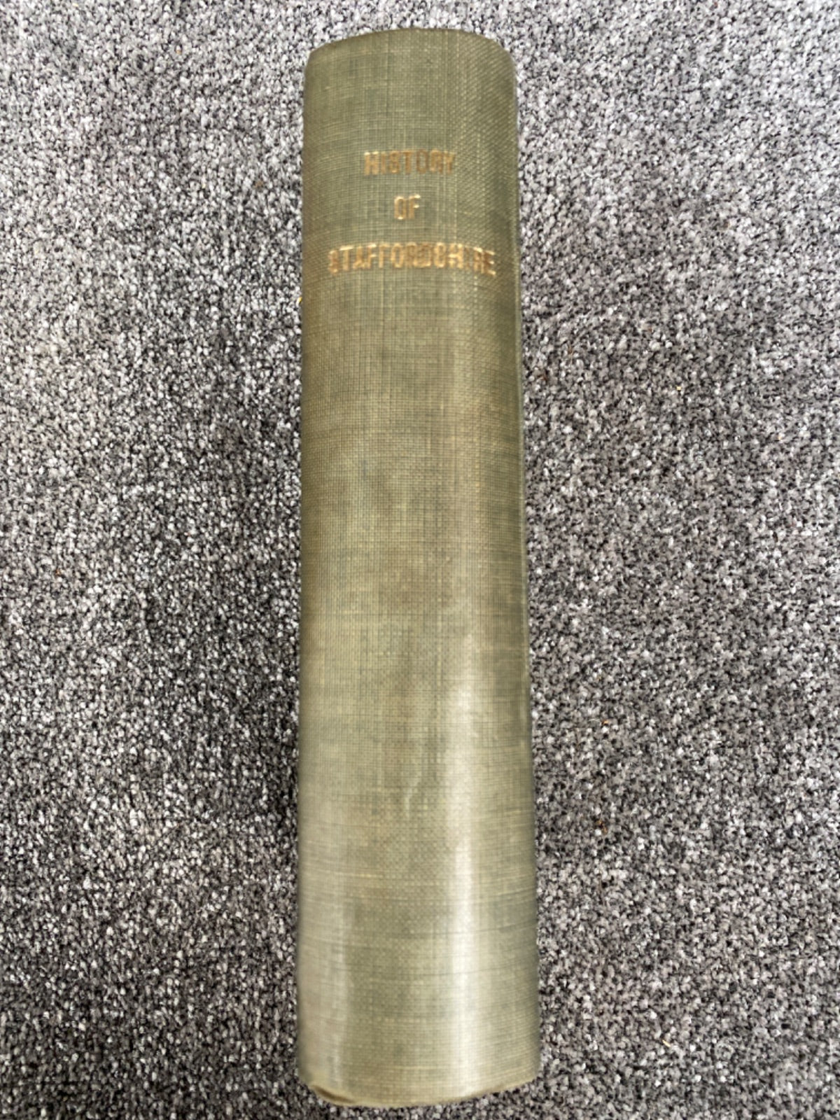 A Topographical History of Staffordshire - William Pitt