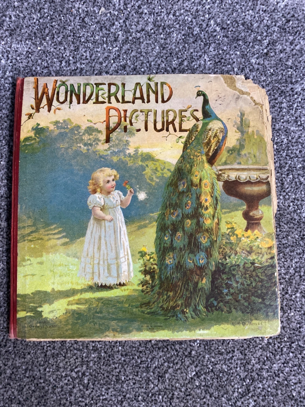 Wonderland Pictures - H.M. Burnside