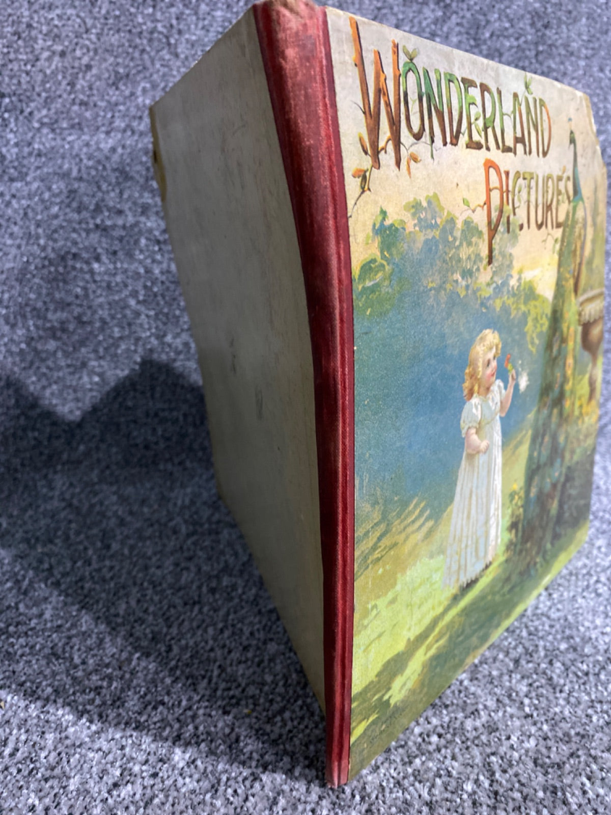 Wonderland Pictures - H.M. Burnside