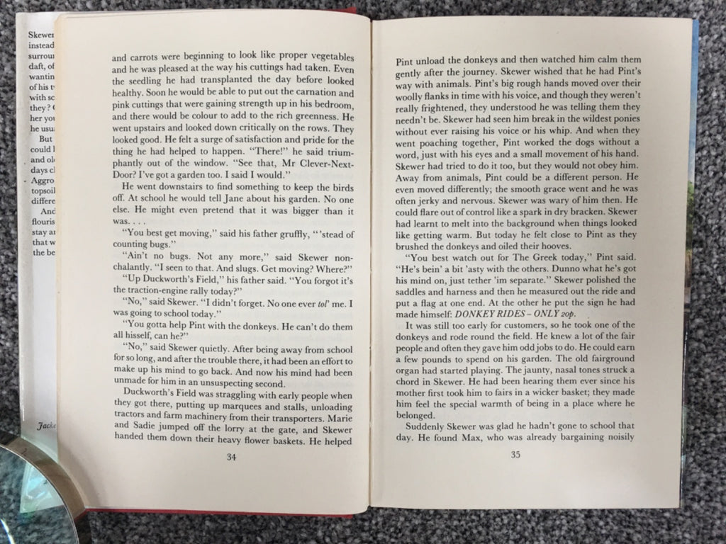Skewer's Garden - Carolyn Sloan