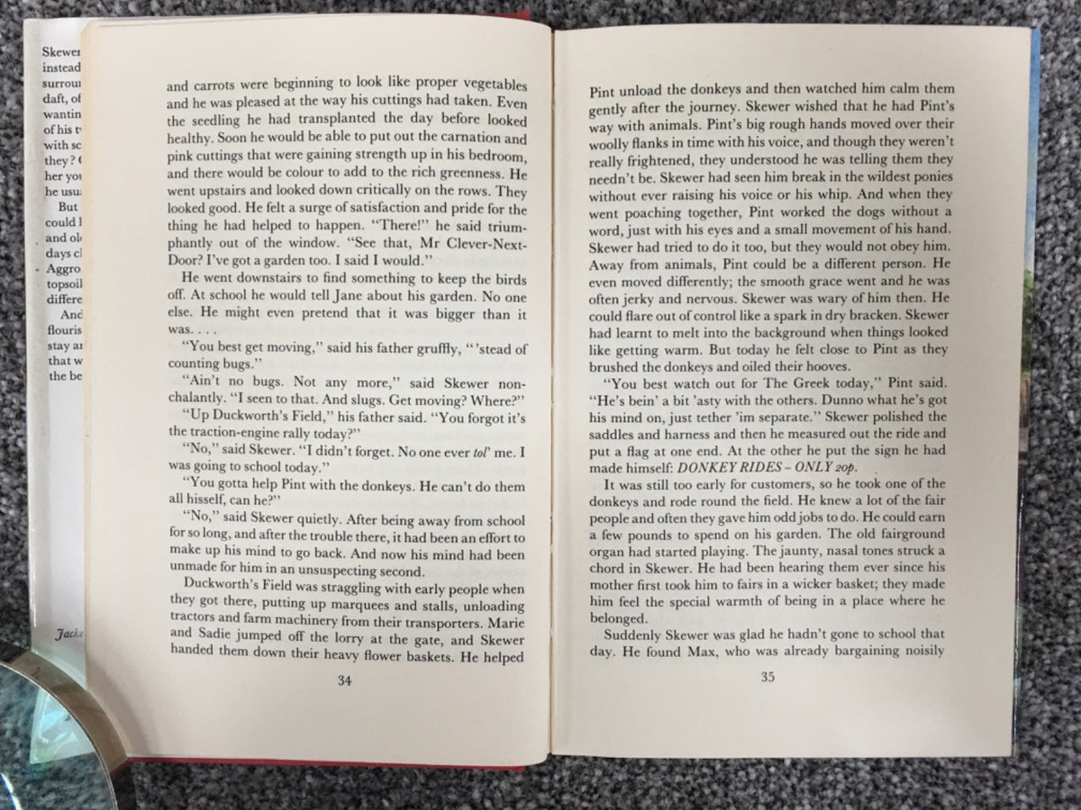 Skewer's Garden - Carolyn Sloan