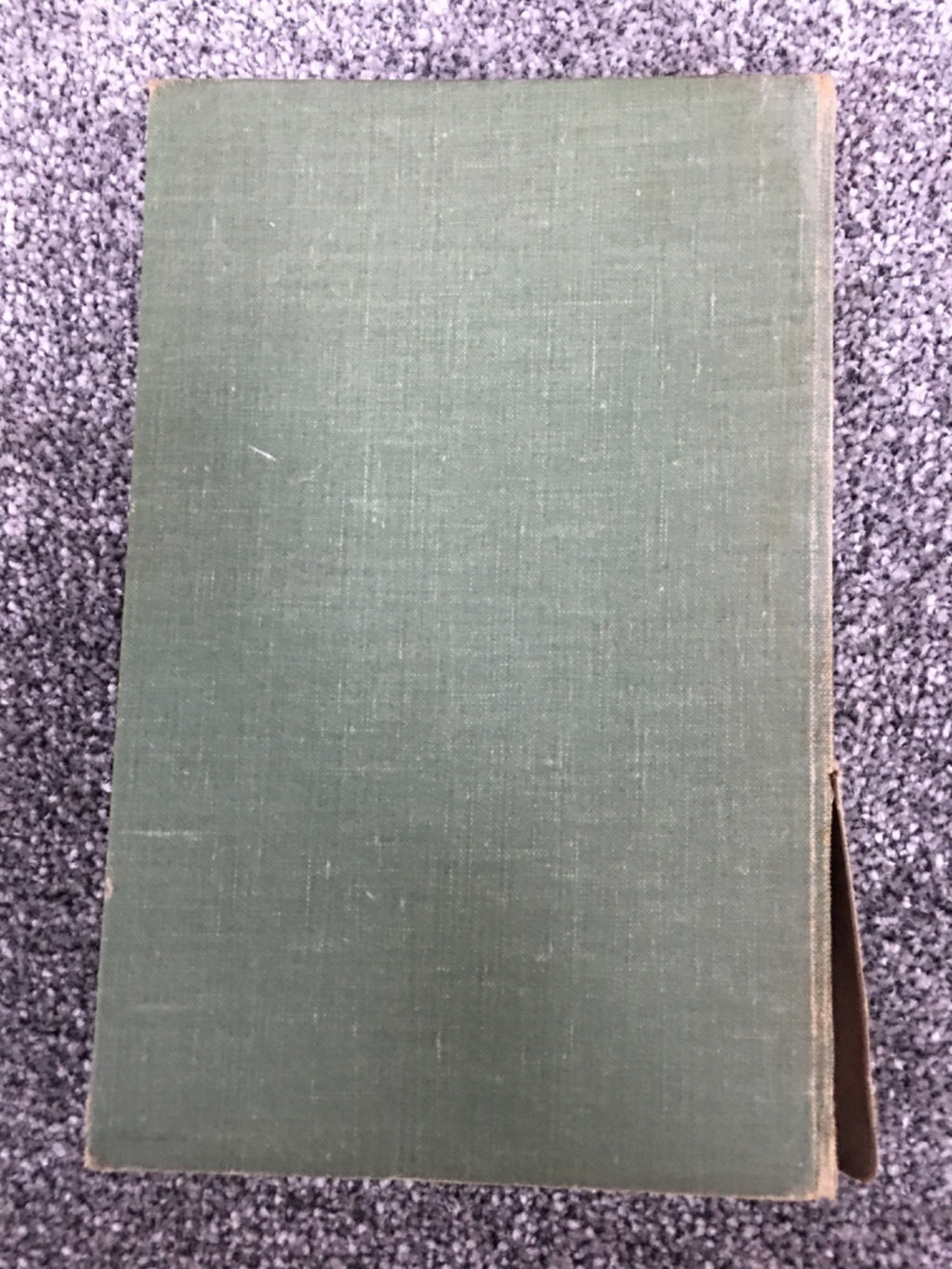 Jungle Green - Arthur Campbell