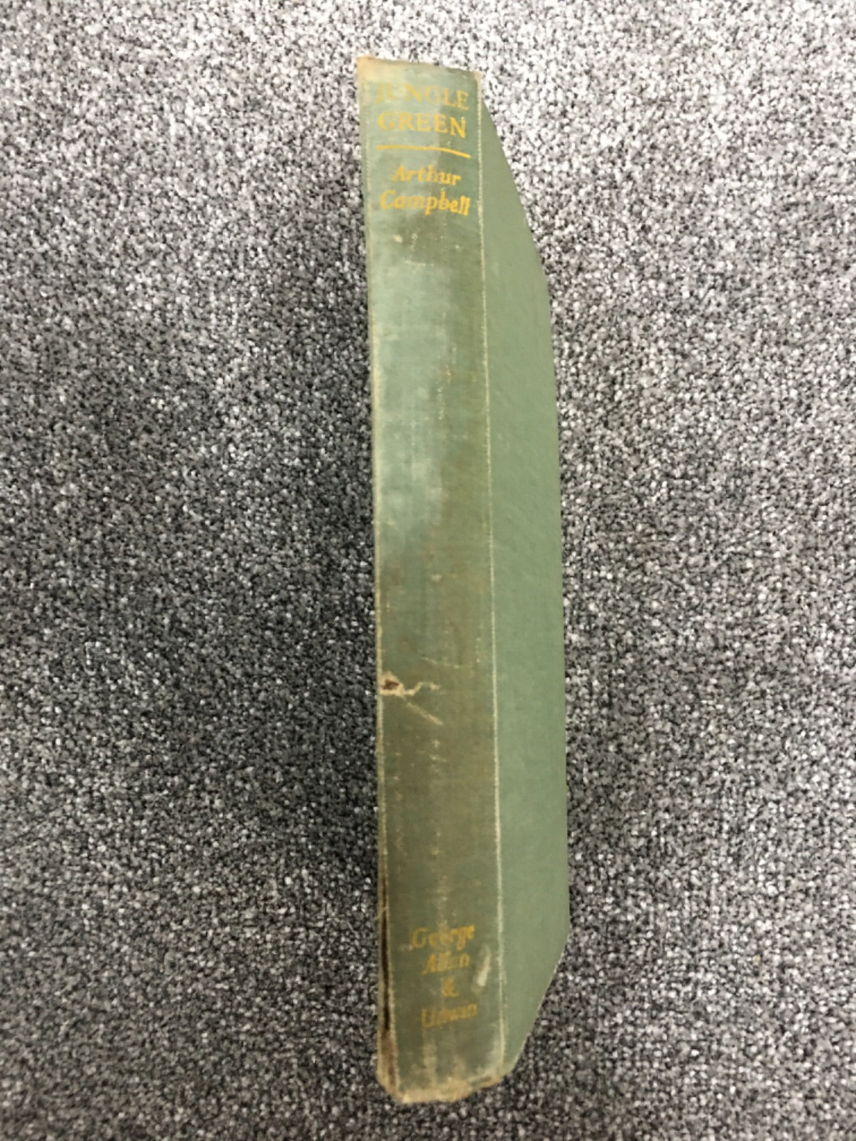Jungle Green - Arthur Campbell