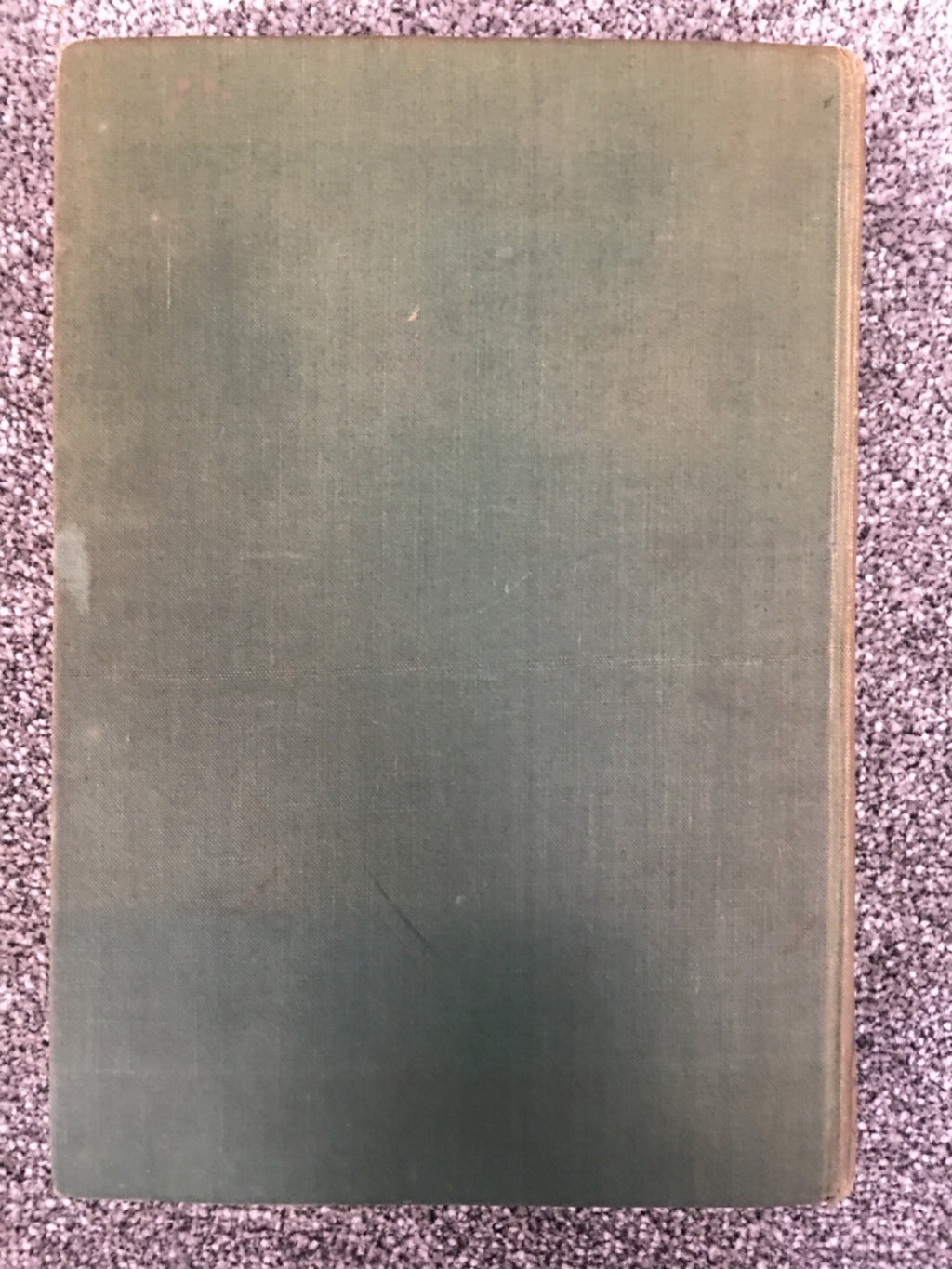 The Children's Golden Treasure Book