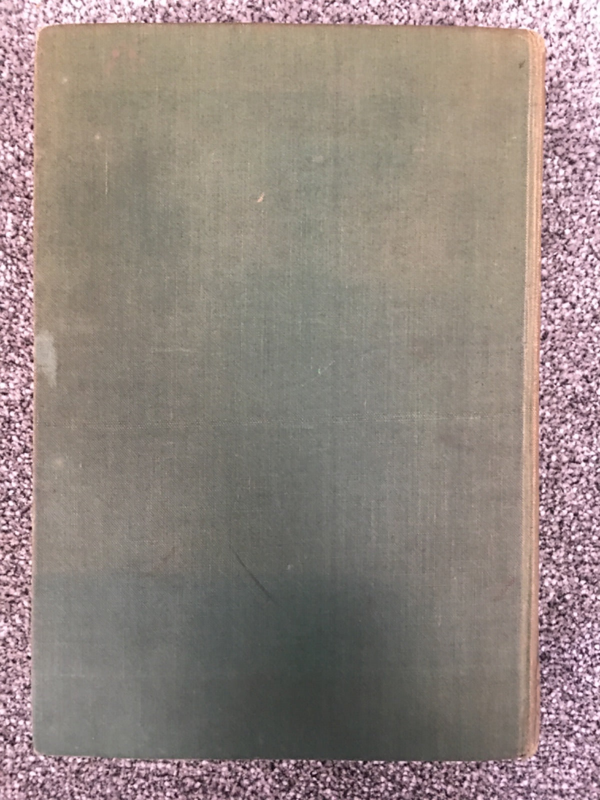 The Children's Golden Treasure Book
