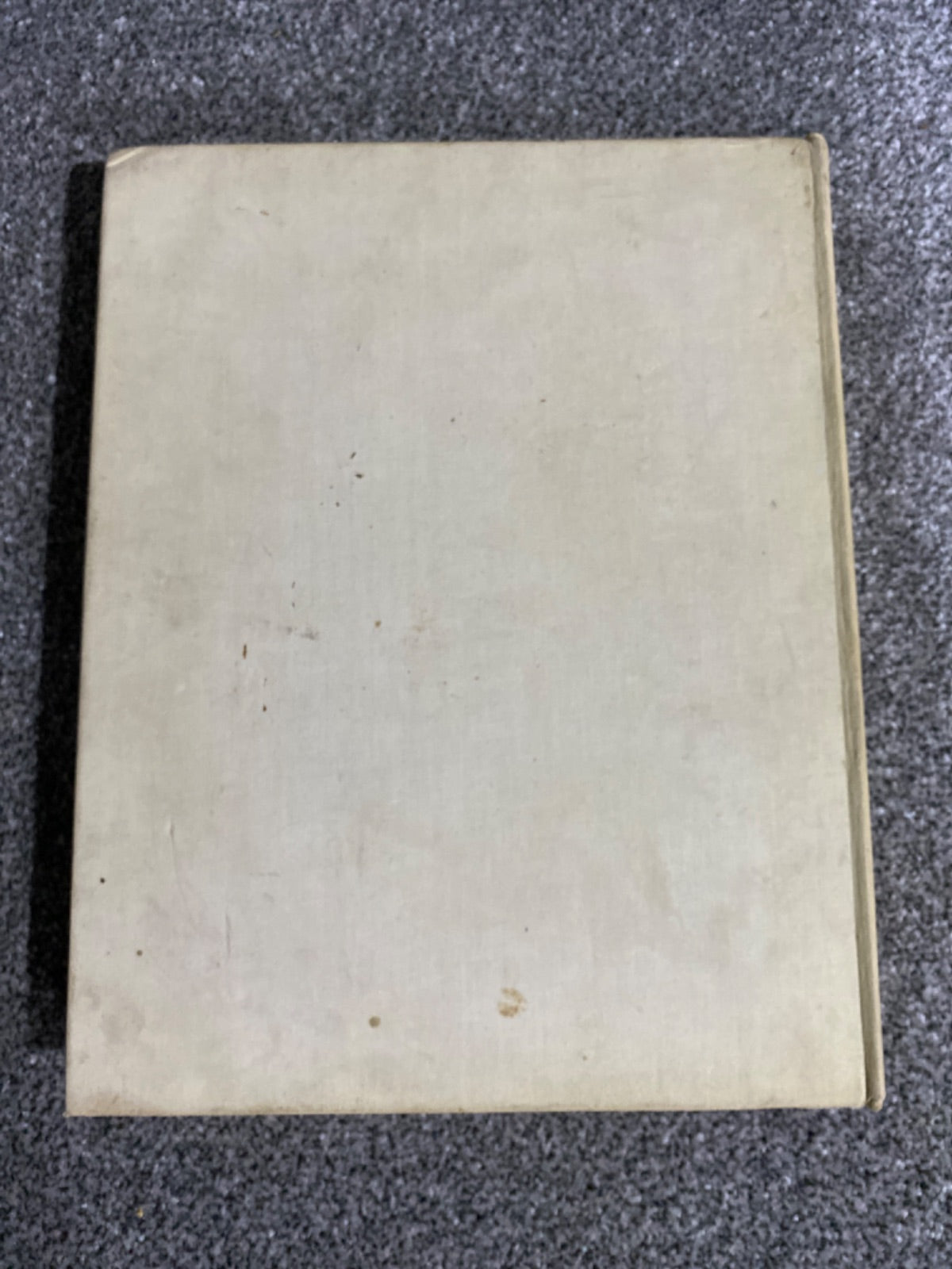 King Albert's Book