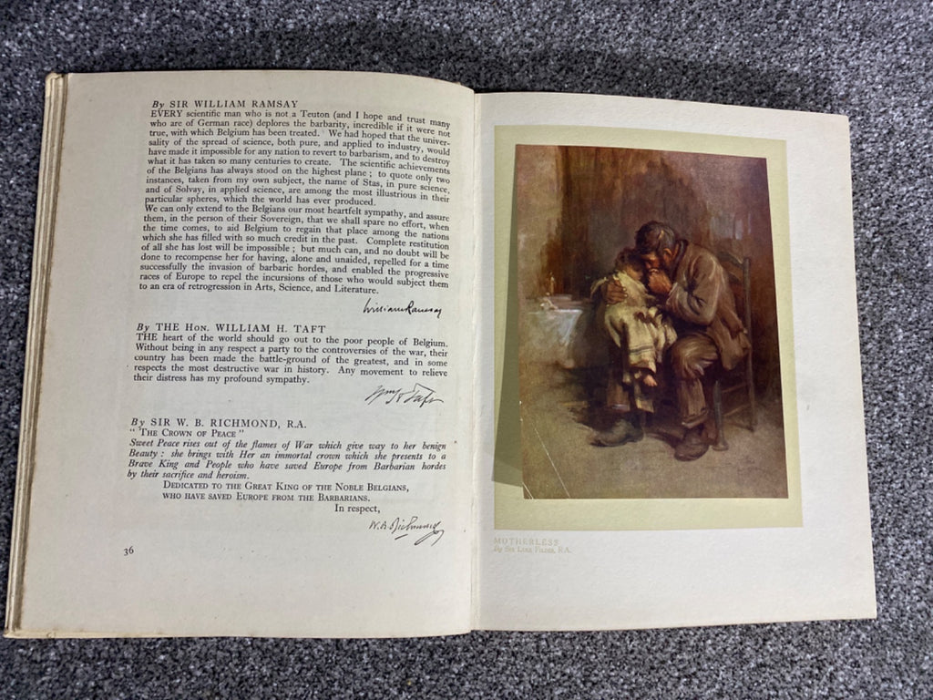King Albert's Book