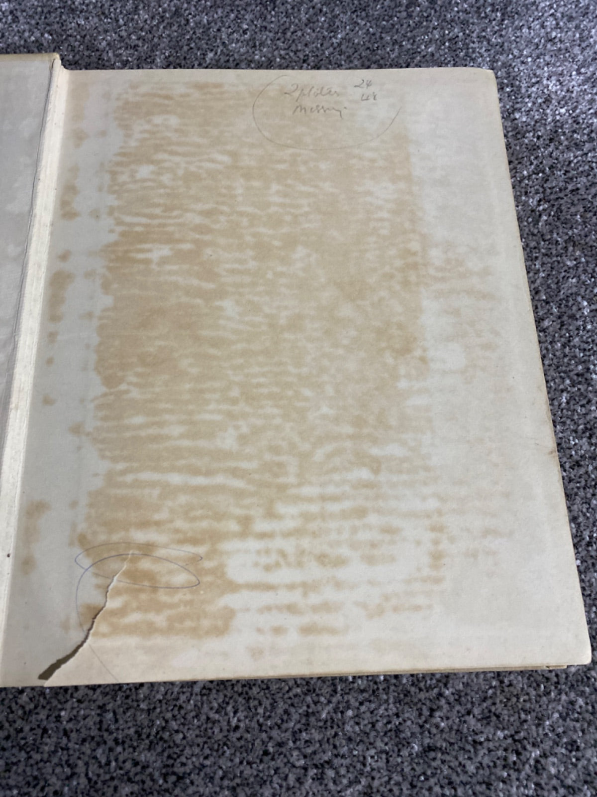 King Albert's Book