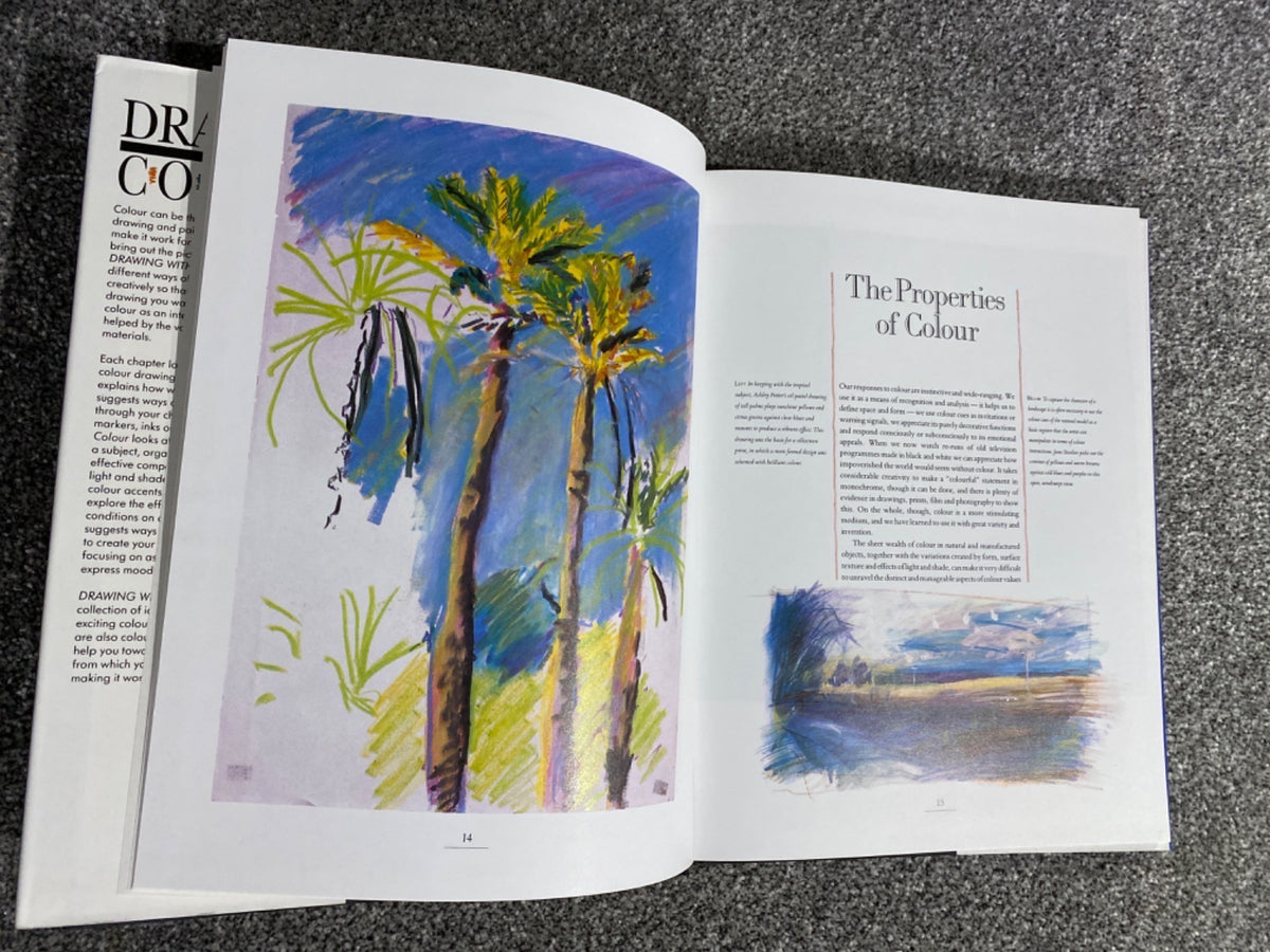 Drawing with Colour - Judy Martin
