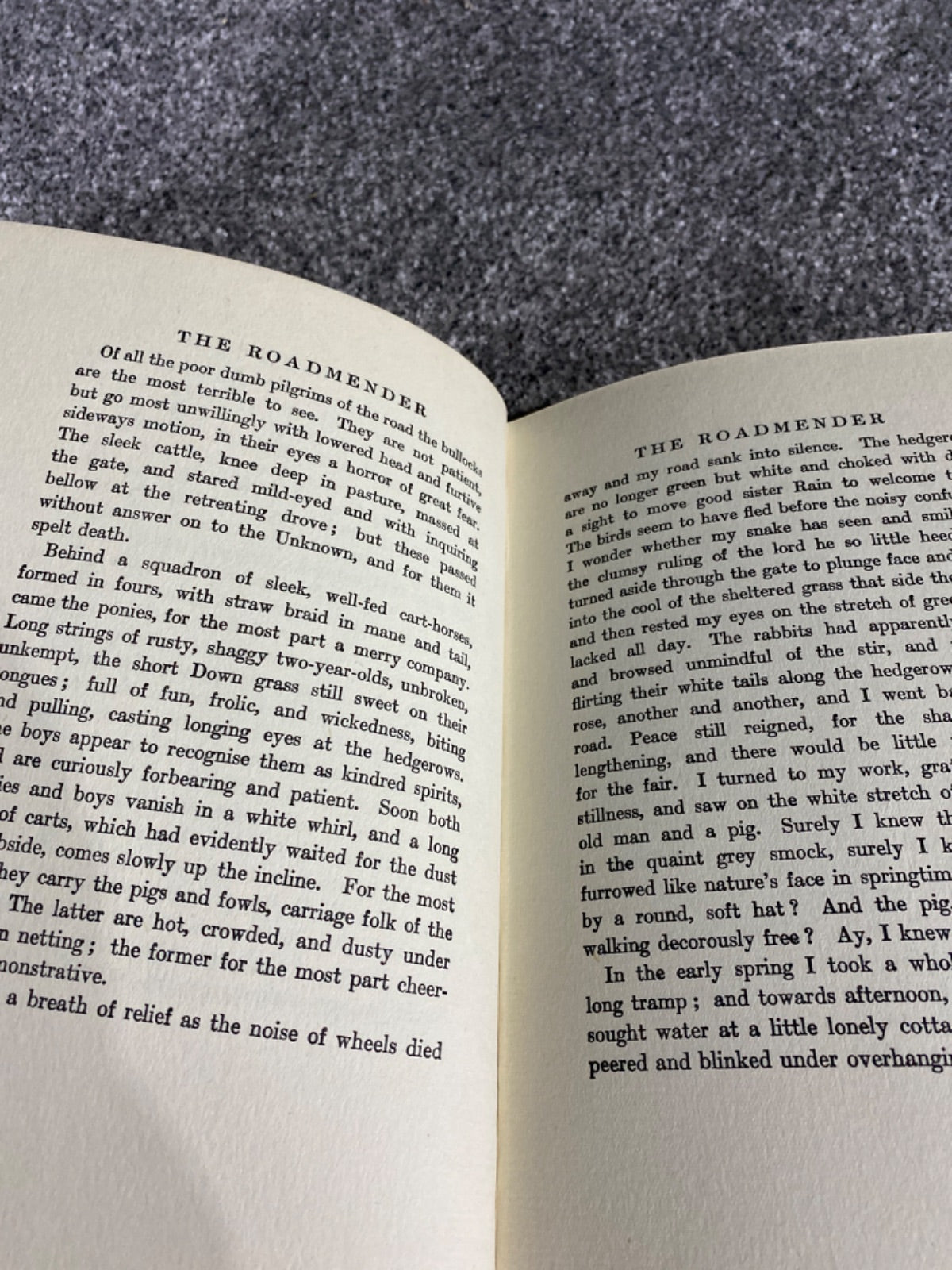 The Roadmender - Michael Fairless