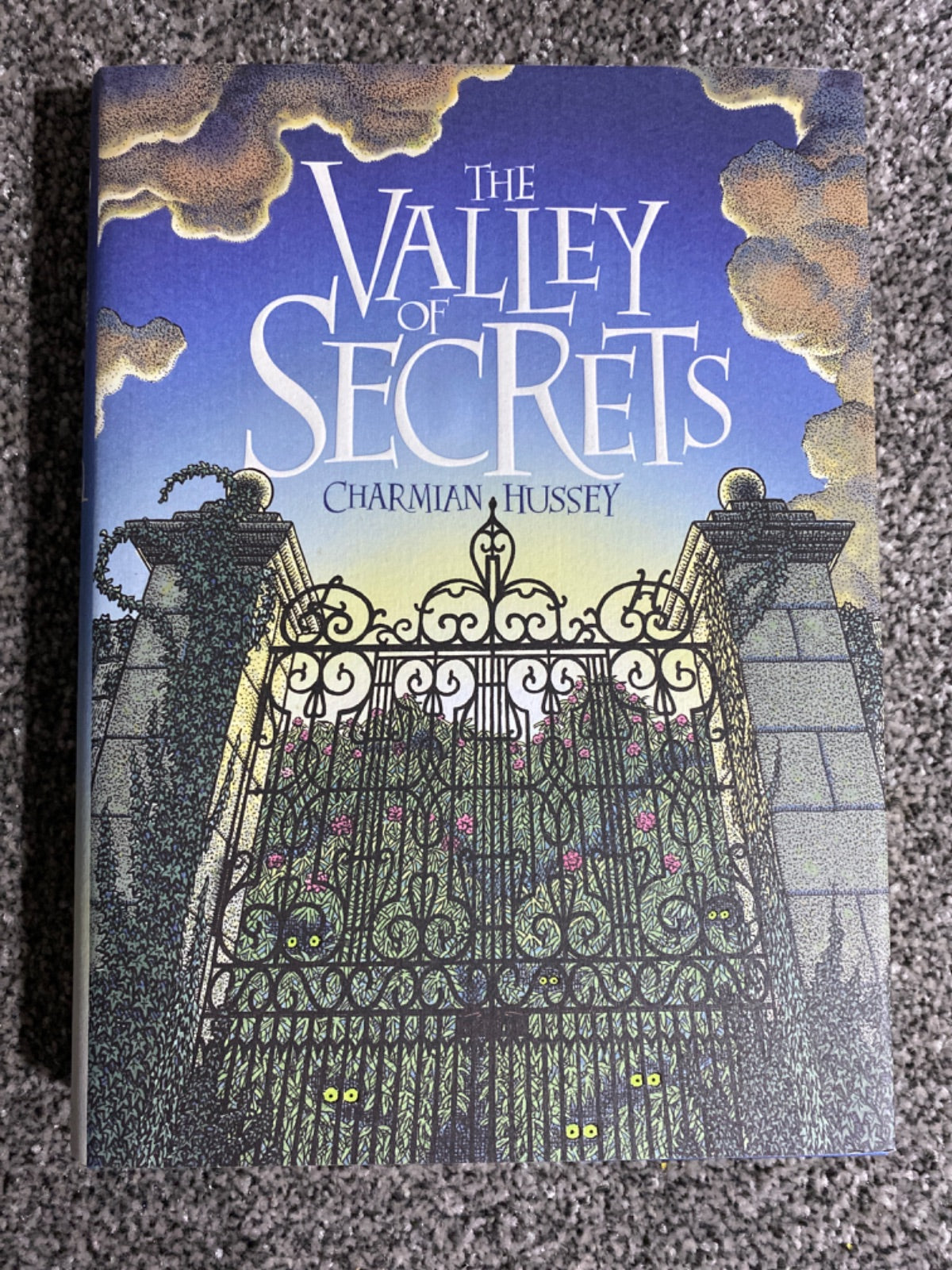 The valley of secrets - Charmian Hussey