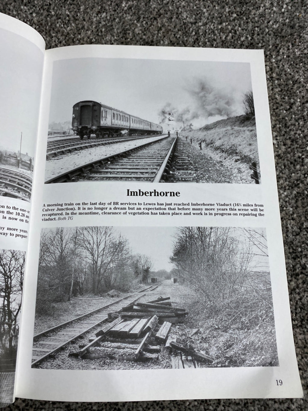 The Bluebell Railway: a nostalgic trip along the whole route from East Grinstead to Lewes - Terry Gough
