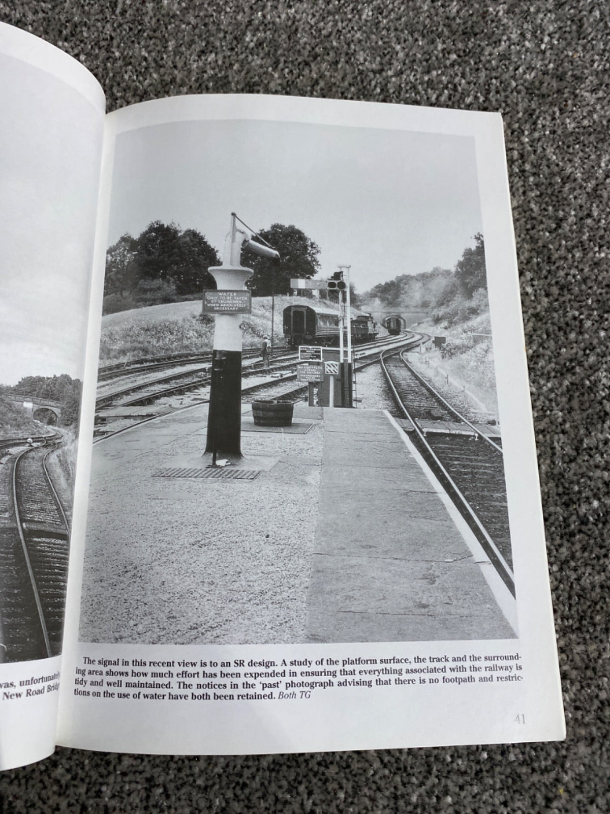 The Bluebell Railway: a nostalgic trip along the whole route from East Grinstead to Lewes - Terry Gough