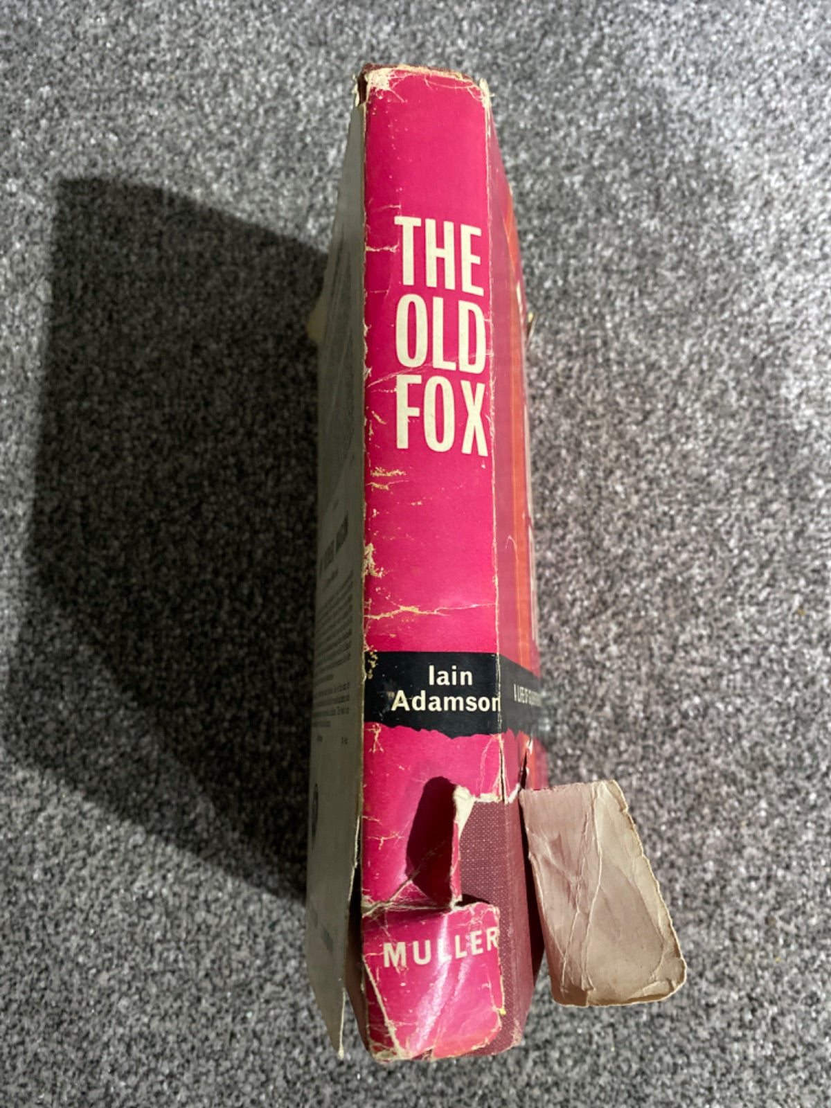 The Old Fox - Iain Adamson