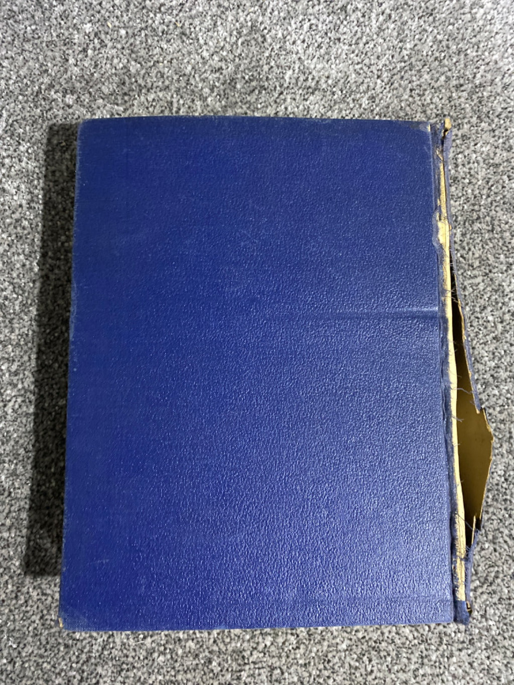 The Story of the Coronation - Sir John Hammerton (Editor)