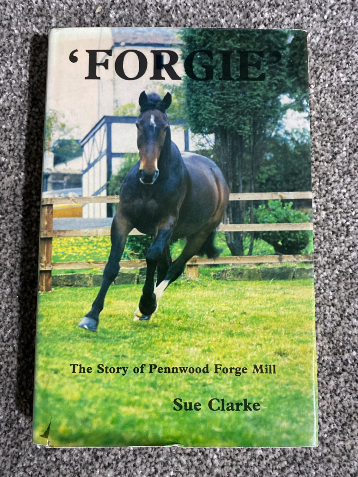 Forgie' - Sue Clarke