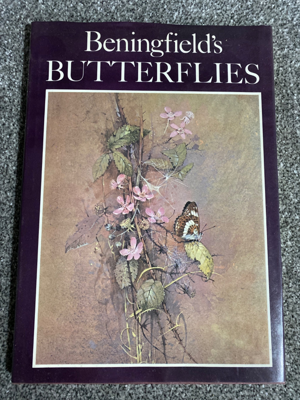 Beningfield's Butterflies - Beningfield, Gordon.