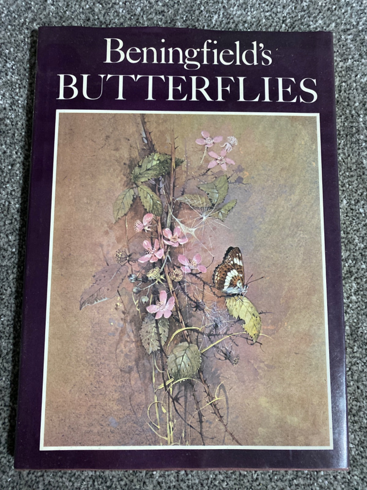 Beningfield's Butterflies - Beningfield, Gordon.