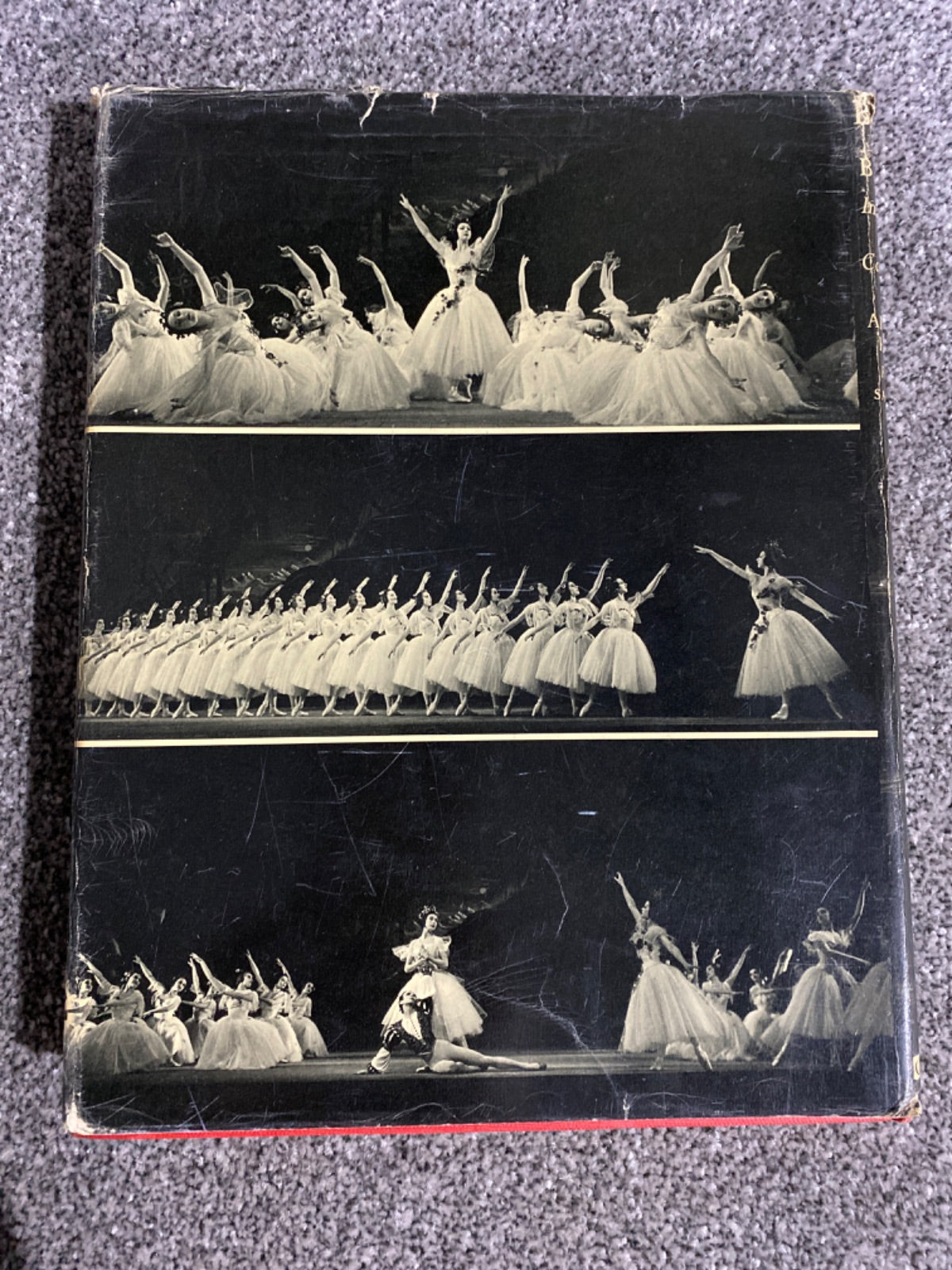 Baron at the Ballet