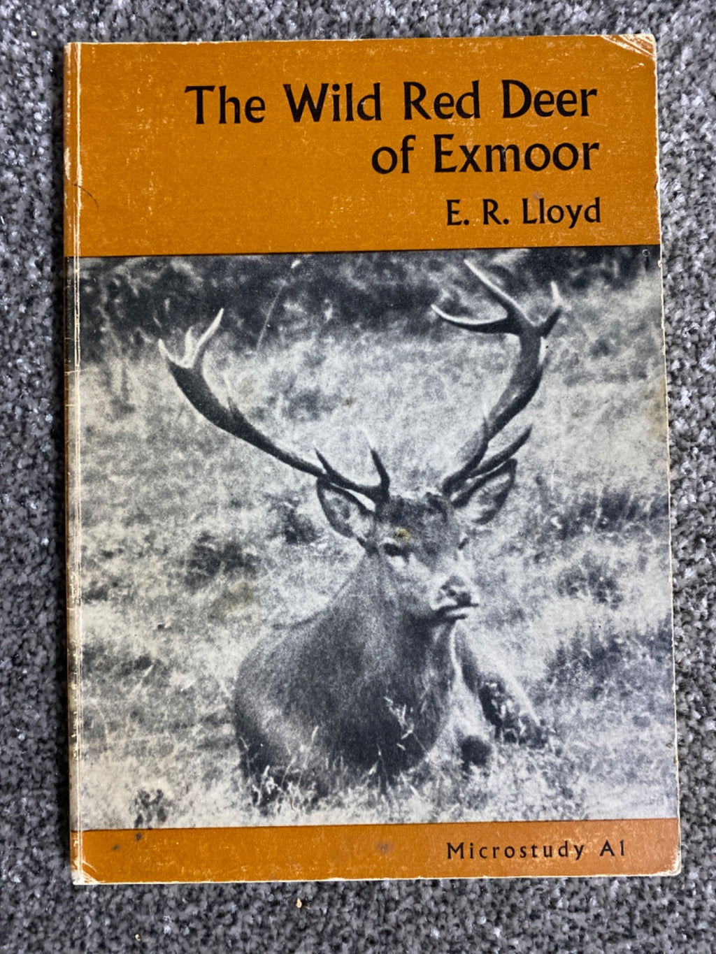 The Wild Red Deer of Exmoor - E. R. Lloyd