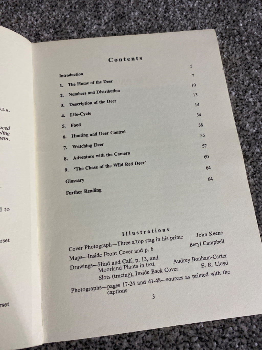 The Wild Red Deer of Exmoor - E. R. Lloyd