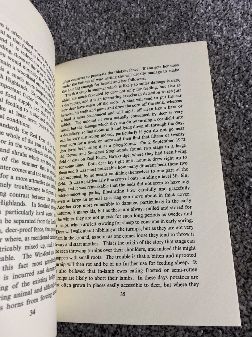 The Wild Red Deer of Exmoor - E. R. Lloyd