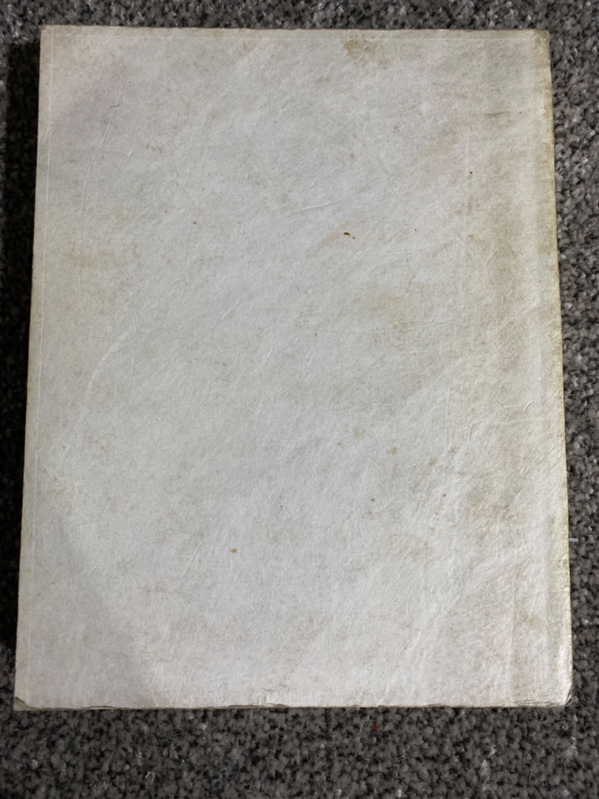 Mockel's desert flower notebook - Henry R. Mockel and Beverly Mockel