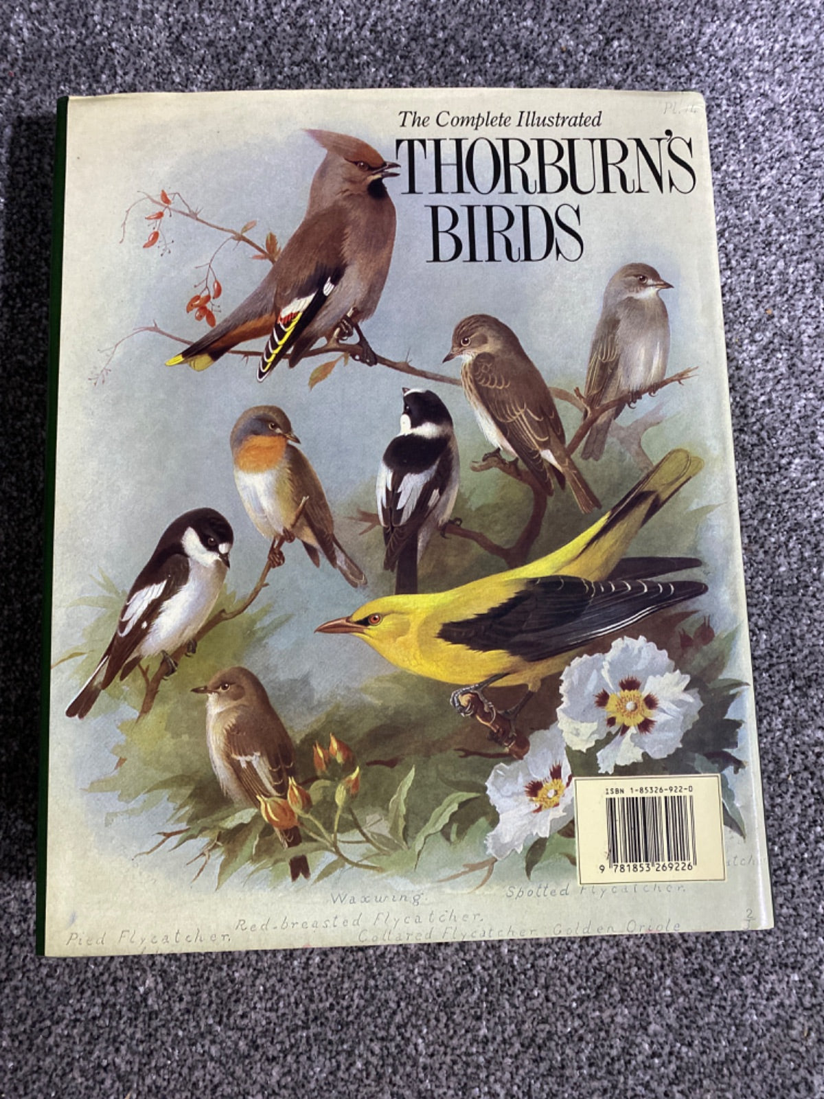 Thorburn's Birds - ARCHIBALD THORBURN