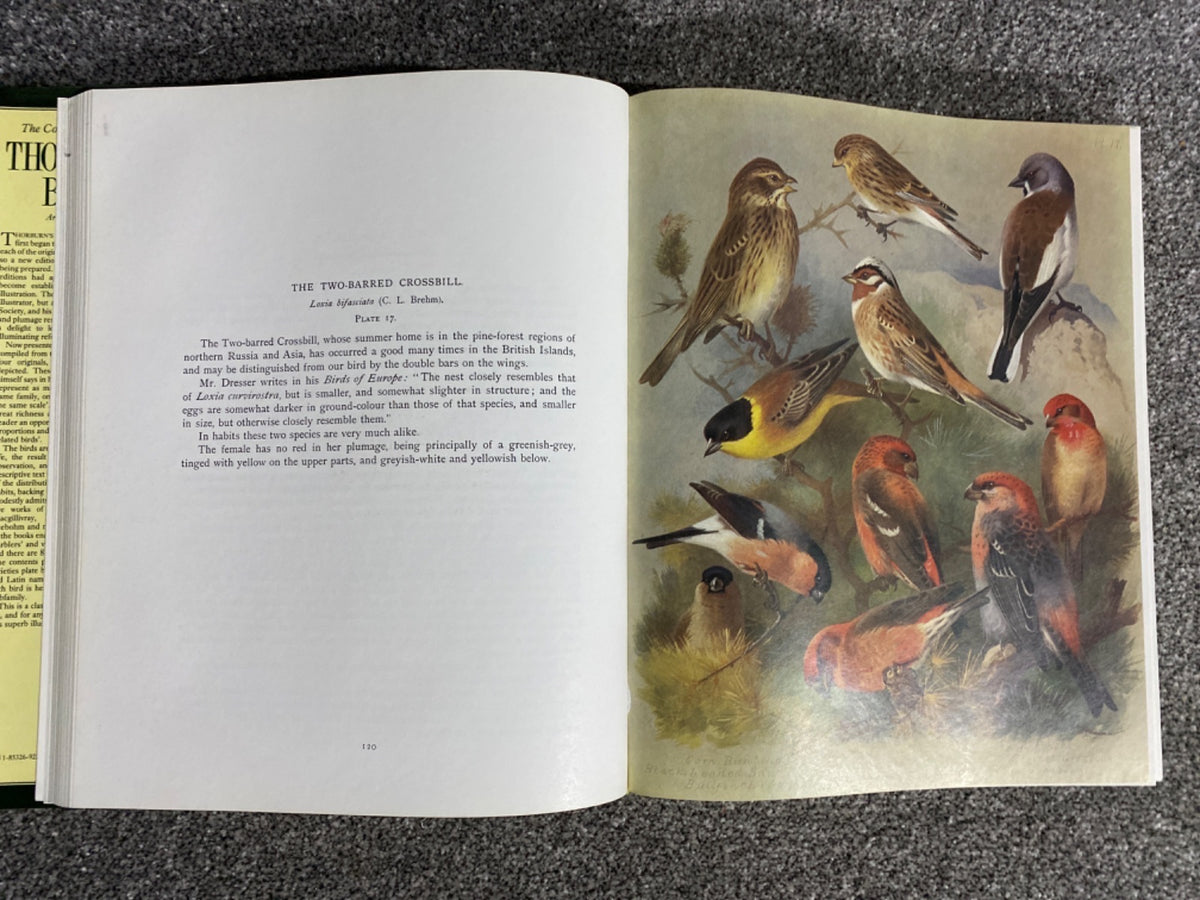 Thorburn's Birds - ARCHIBALD THORBURN