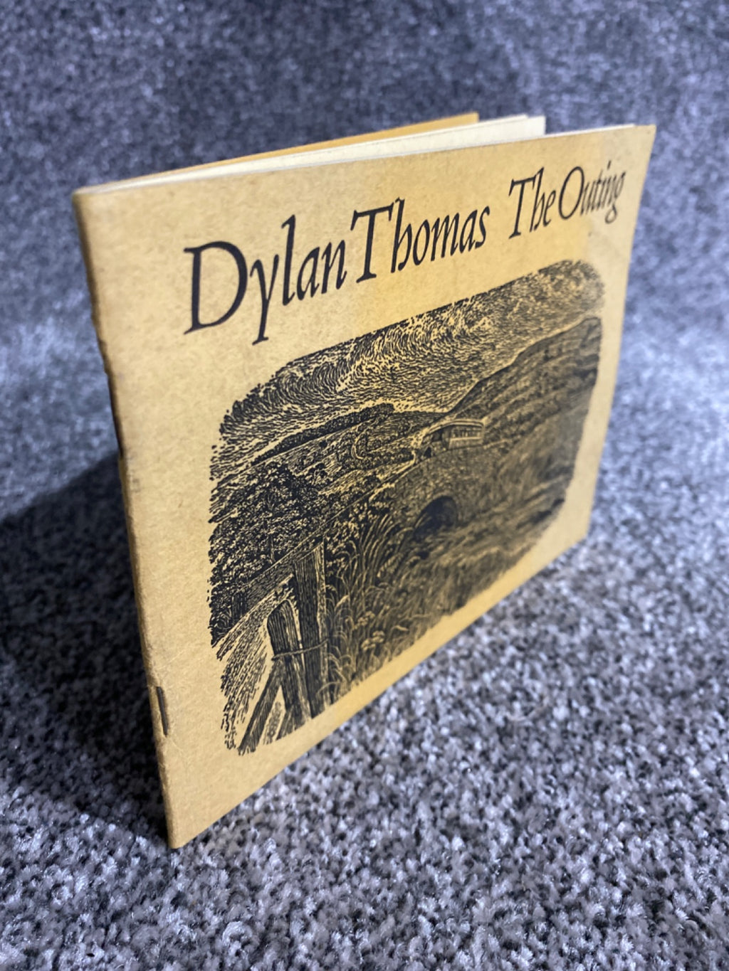 The outing: a story - Dylan Thomas