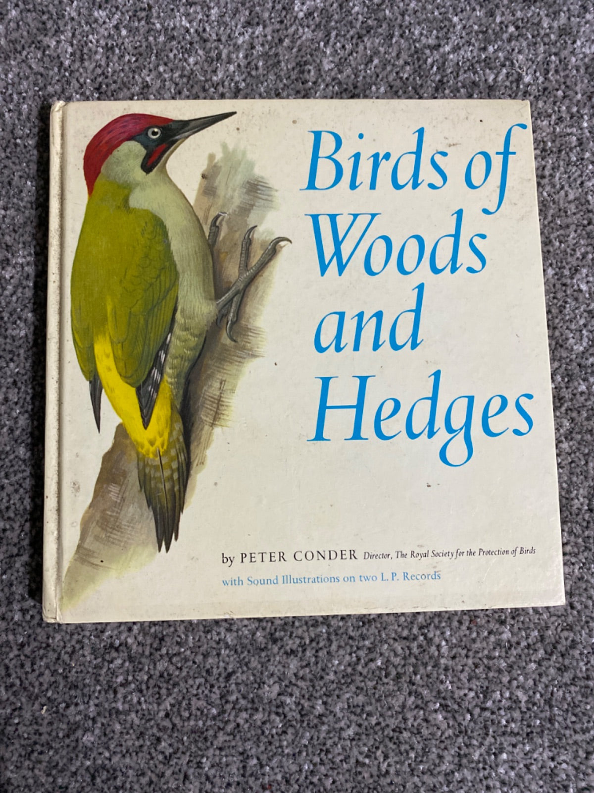 Birds of Woods and Hedges - Peter Conder
