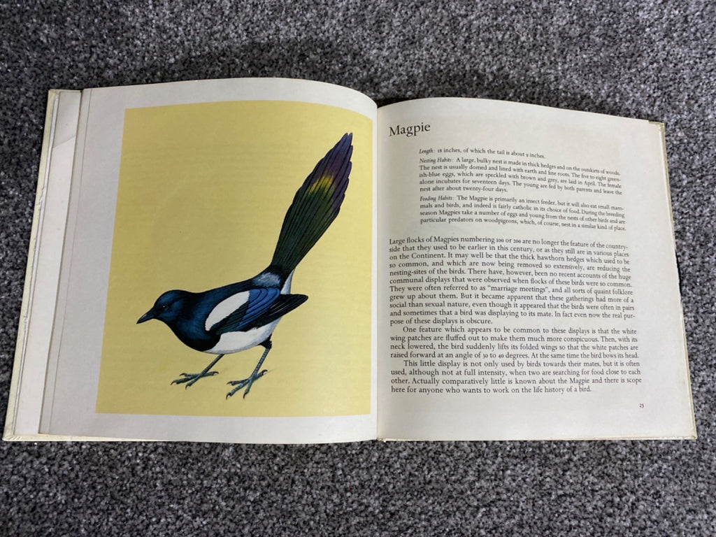 Birds of Woods and Hedges - Peter Conder