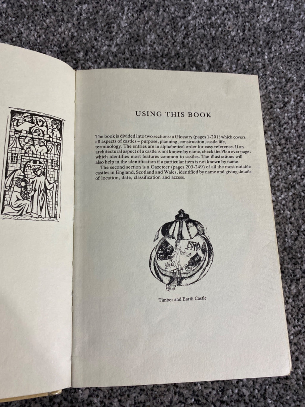 The Castle Explorer's Guide - Frank Bottomley