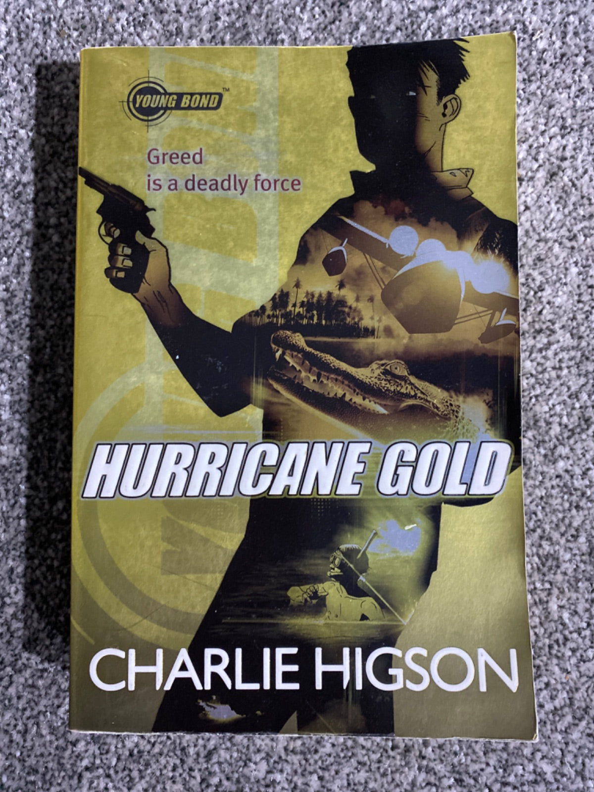 Hurricane gold - Charles Higson