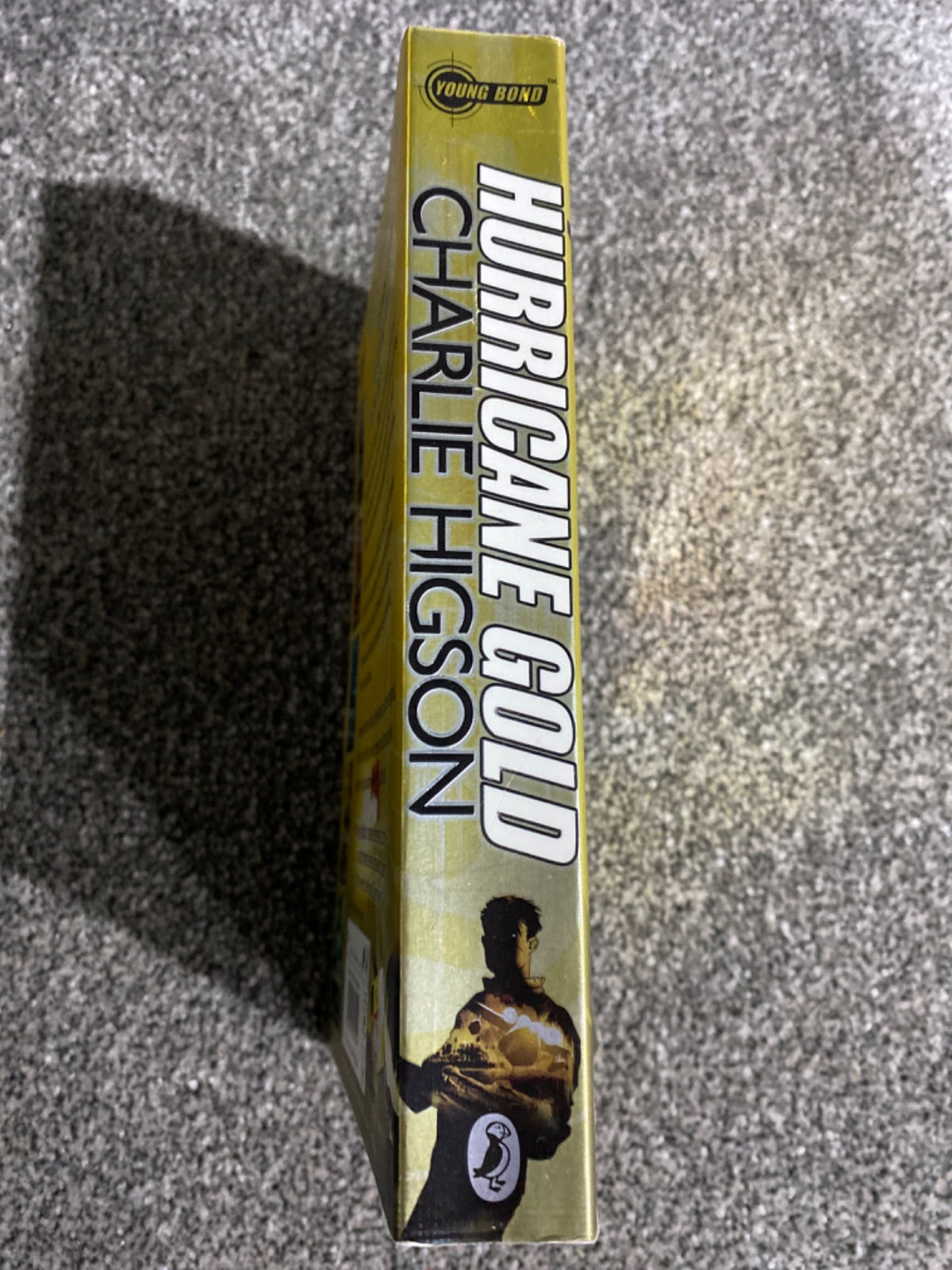 Hurricane gold - Charles Higson
