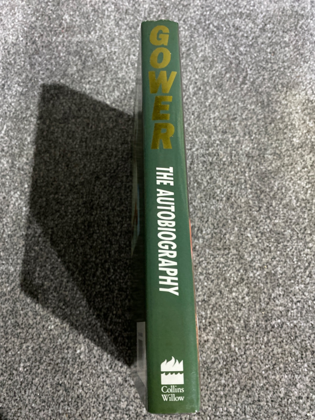 Gower: the autobiography - David Gower, Martin Johnson