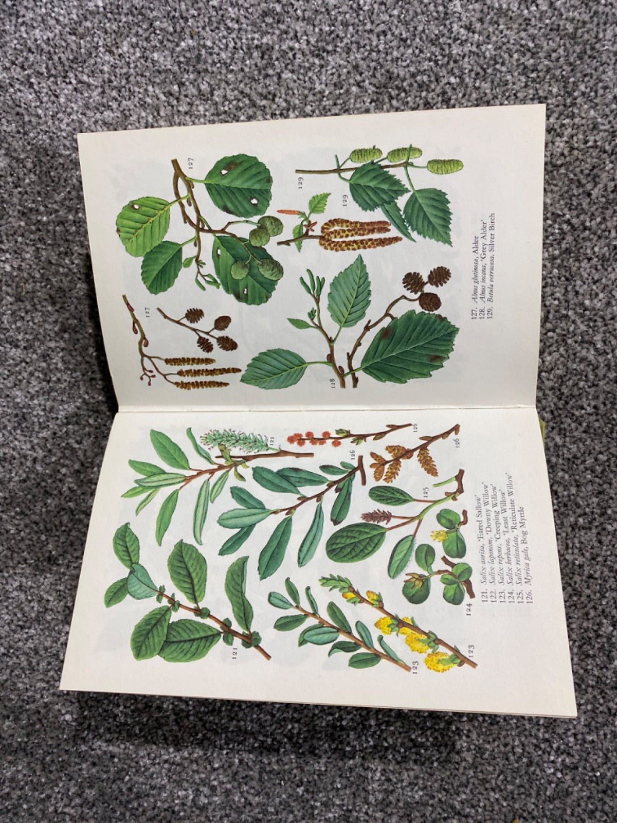 The Pocket Encyclopaedia of Wild Flowers in Colour - M. Skytte Christiansen