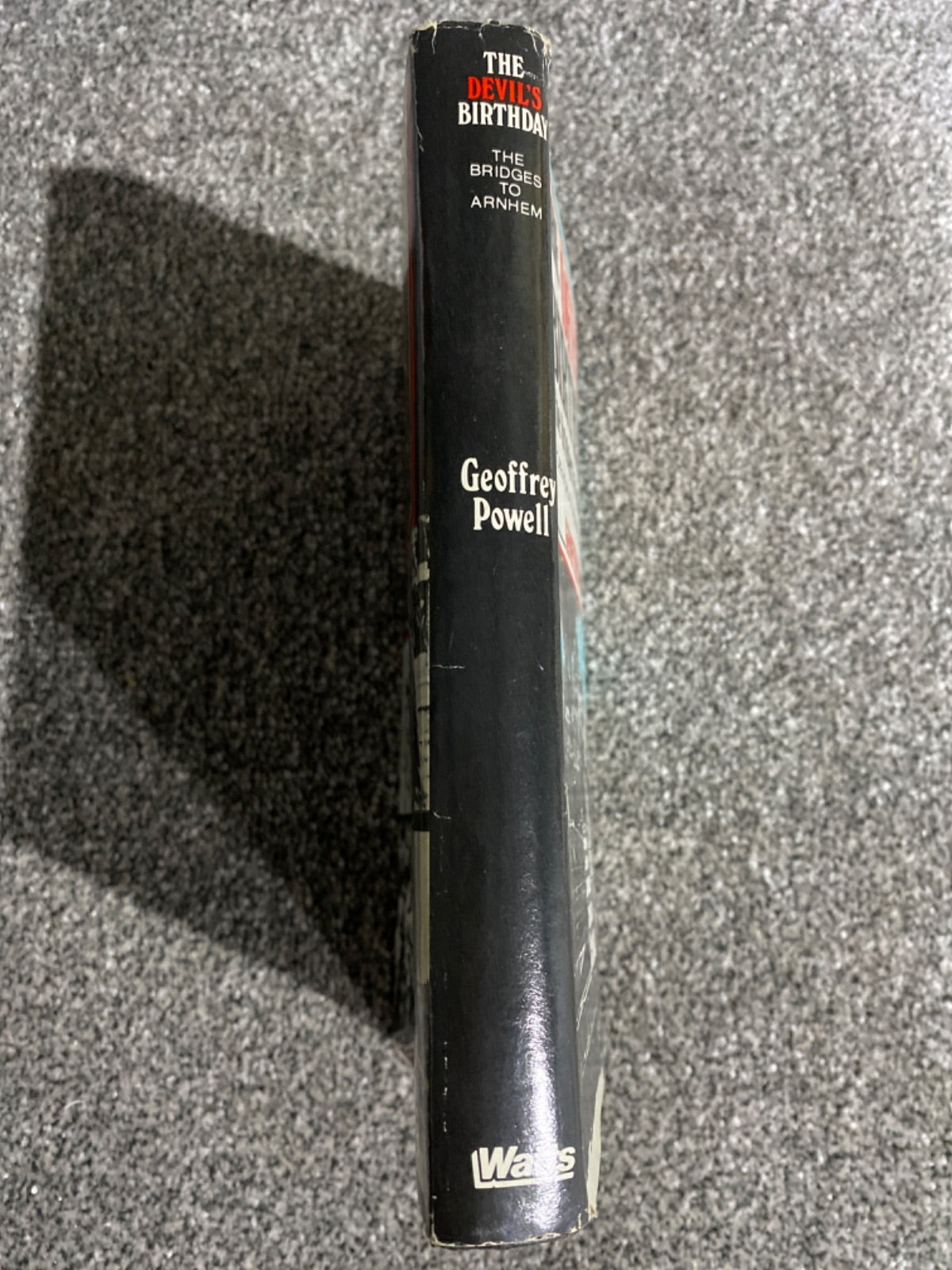The Devil's Birthday - Geoffrey Powell