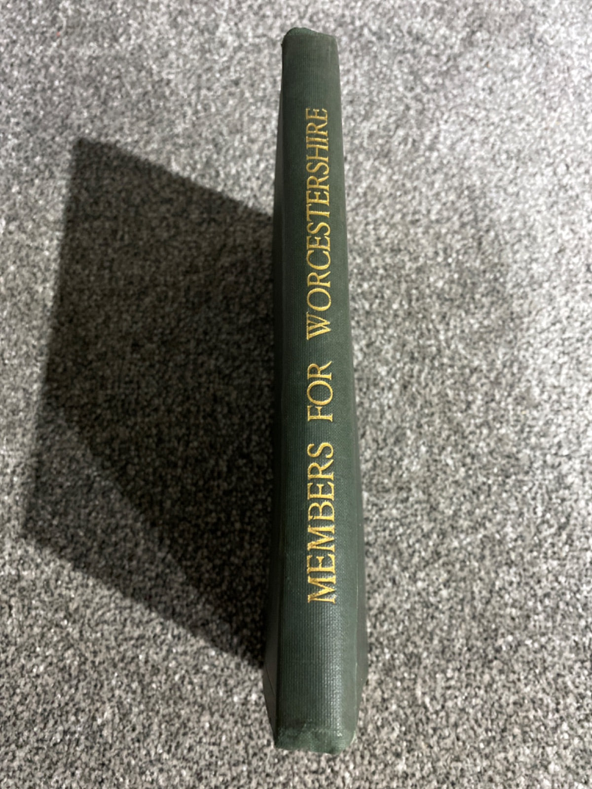 The Parliamentary History of the County of Worcester - W. R. Williams